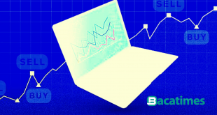 Cara Bermain Saham untuk Pemula Dari Nol