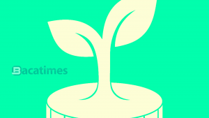 Cara Investasi di Bibit dengan Mudah