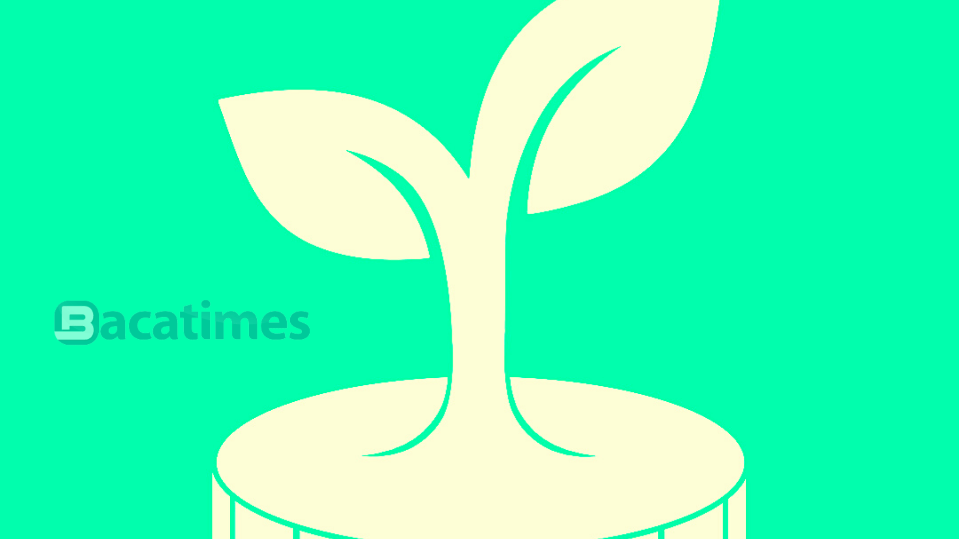 Cara Investasi di Bibit dengan Mudah