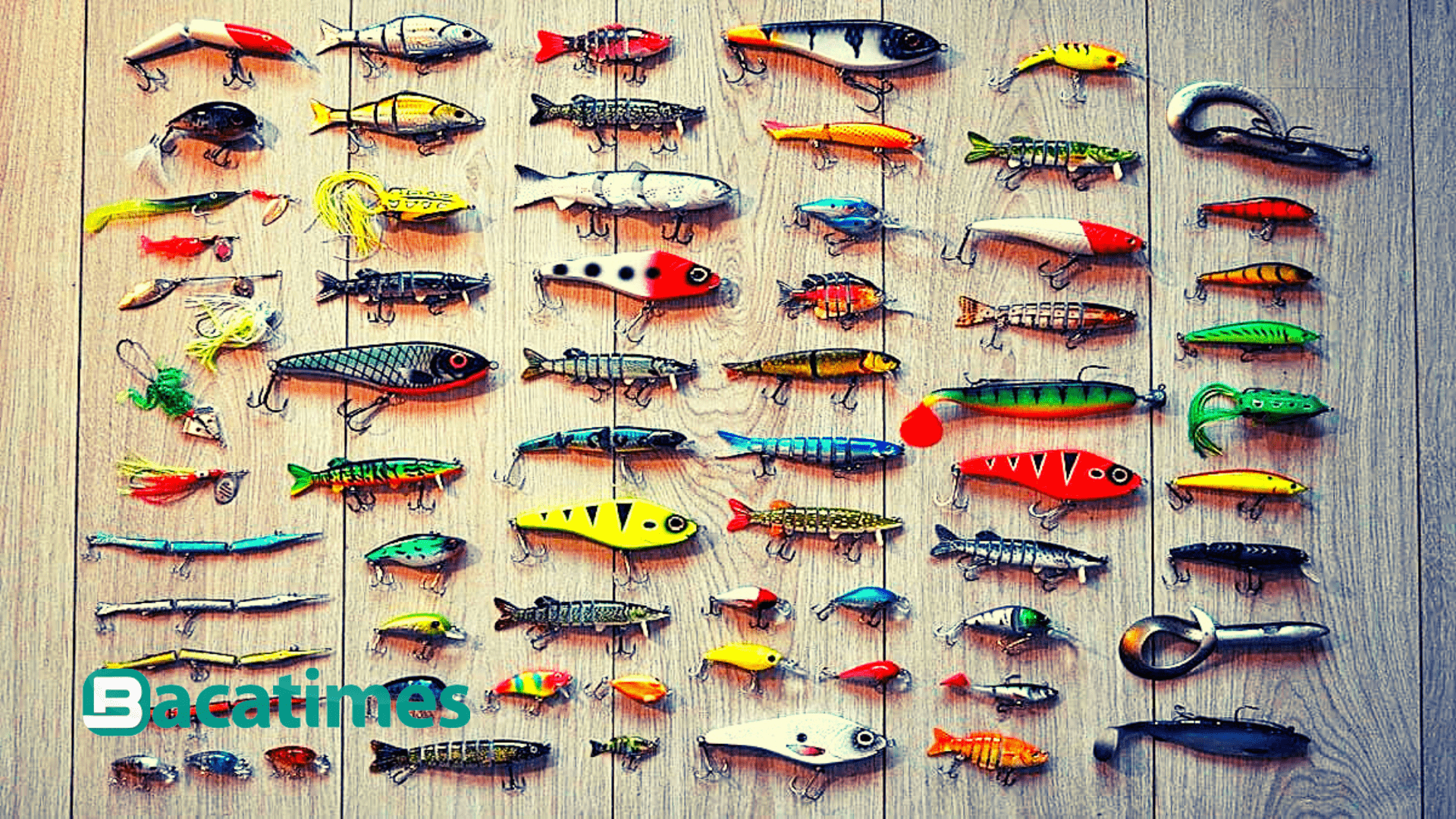 Ide Bisnis Ikan Laut Terbaik 2021 Layak Dicoba