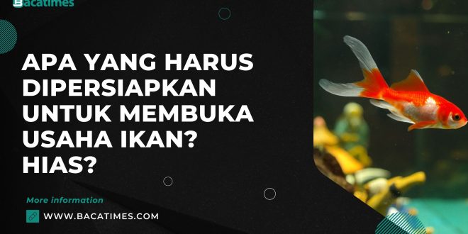 Apa yang Harus Dipersiapkan untuk Membuka Usaha Ikan Hias?