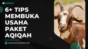 6+ Tips Membuka Usaha Paket Aqiqah