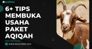 6+ Tips Membuka Usaha Paket Aqiqah