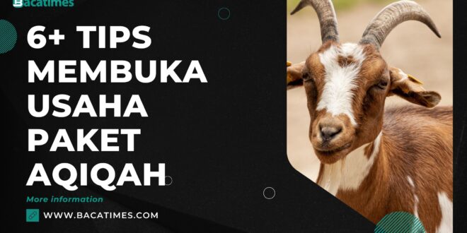 6+ Tips Membuka Usaha Paket Aqiqah