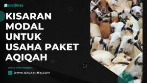 Kisaran Modal untuk Usaha Paket Aqiqah