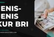 Jenis-Jenis KUR BRI