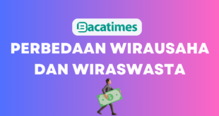 Perbedaan Wirausaha dan Wiraswasta www.bacatimes.com