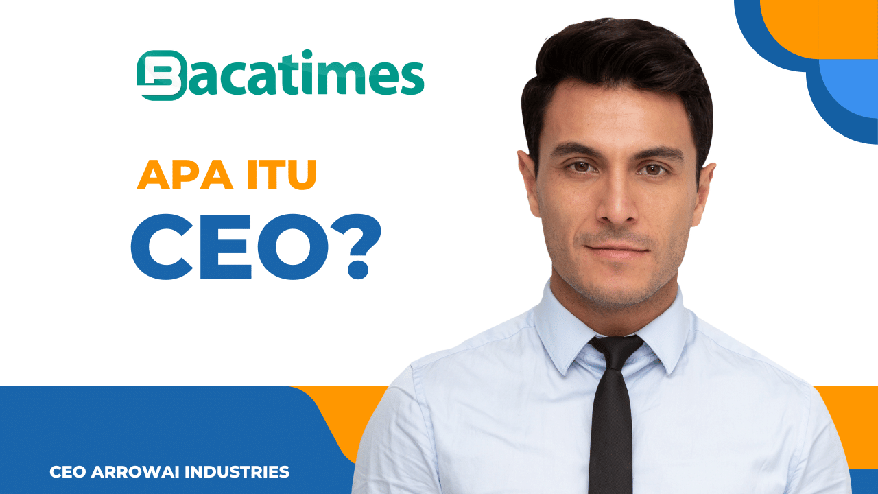 apa itu CEO bacatimes.com