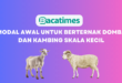 Modal Awal Untuk Berternak Domba dan Kambing Skala Kecil www.bacatimes.com