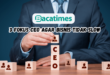 3 Fokus CEO Agar Bisnis Tidak Slow www.bacatimes.com