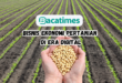 Bisnis Ekonomi Pertanian di Era Digital www.bacatimes.com