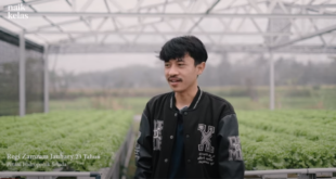 Kisah Sukses Di Usia 23 Tahun Sebagai Petani, Sudah Hasilkan RATUSAN JUTA