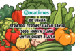 Strategi Cerdas Jualan Sayur 5000 Hanya 3 Jam untuk Omzet 2 Juta www.bacatimes.com